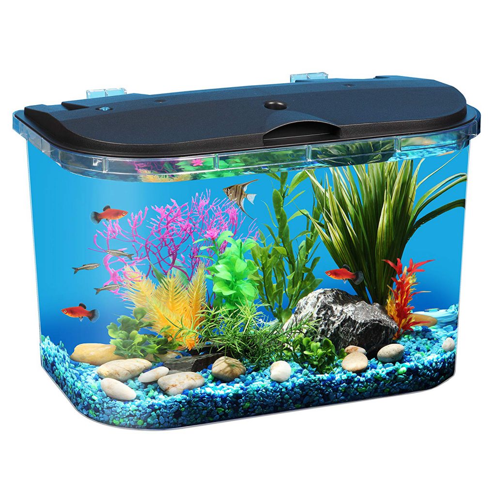 5_gallon_aquarium