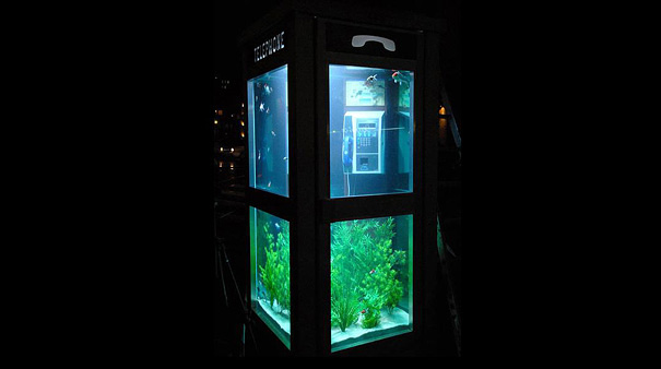 Telephone-Booth-Aquarium