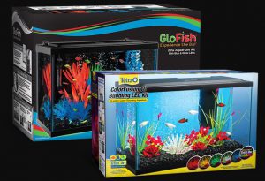 20 gal glofish tank
