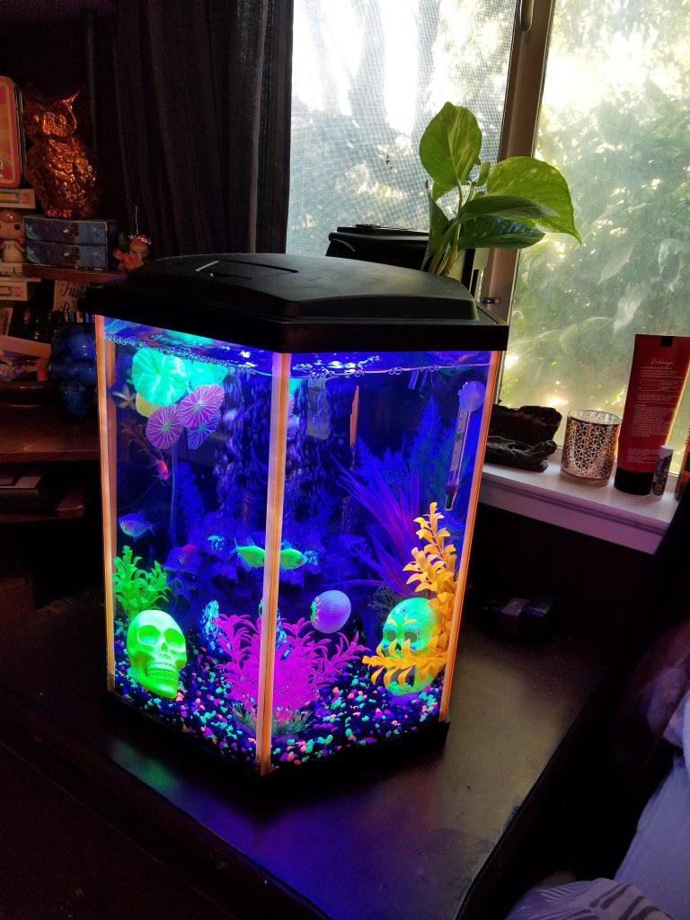 glofish_aquarium