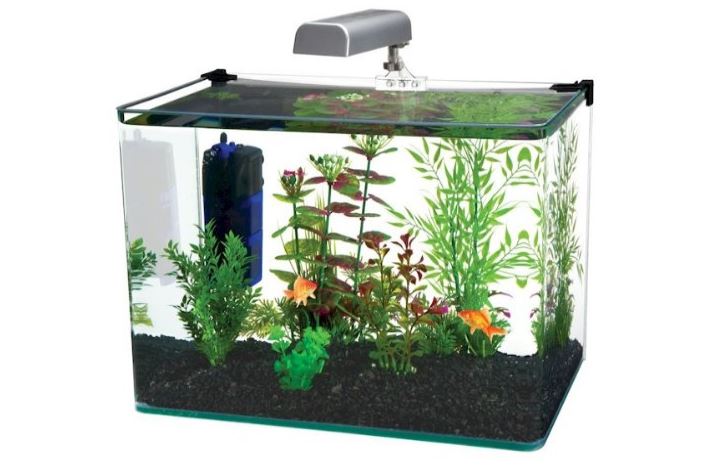 Penn Plax Curved Corner Glass Aquarium Kit 