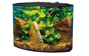 Tetra_Crescent_5_gallon_acrylic_aquarium_kit