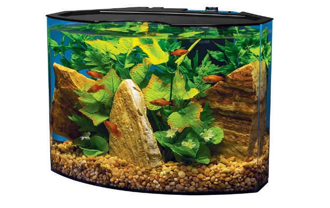 Tetra 5 Gallon Fish Tank Acrylic Aquarium