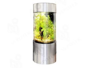 acrylic_cylinder_fish_tank