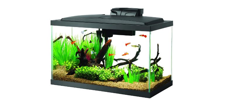 Aqueon 10 Gallon Tank LED Aquarium Kit 
