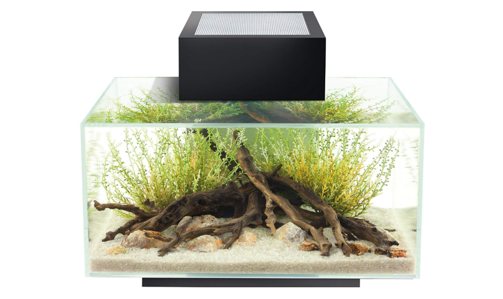 fluval_edge_aquarium