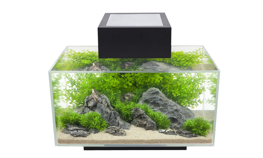 fluval_6_gallon