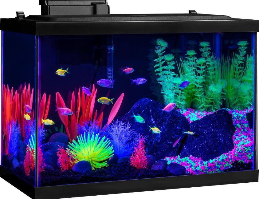 Tetra Glofish Tank 20 gallon 