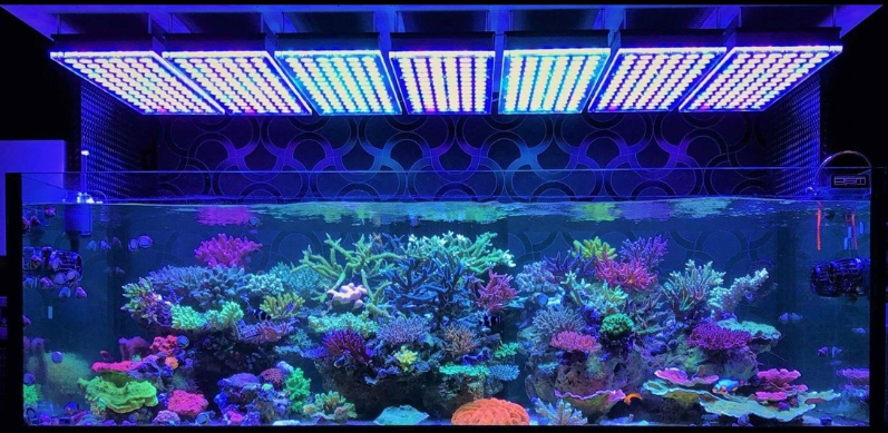led_light_aquarium