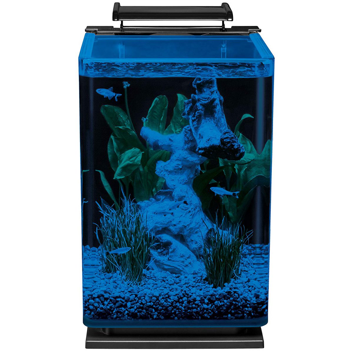 The 6 Best Fish Tanks for Beginners Small Fish Tank Reviews