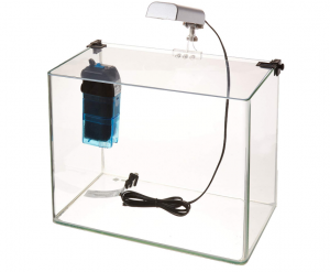 penn_plax_curved_corner_glass_aquarium_kit
