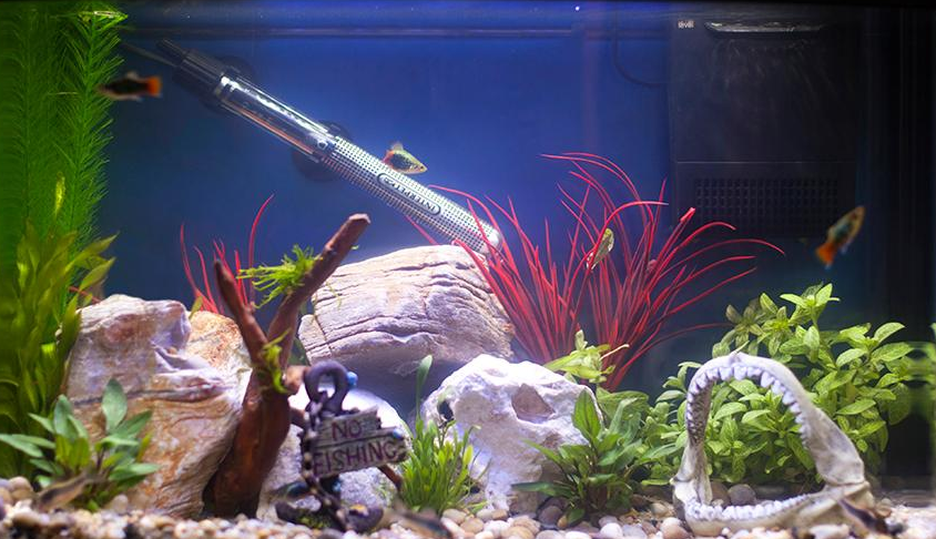 how-to-setup-an-aquarium-heater-submersible-fish-tank-heater-guide