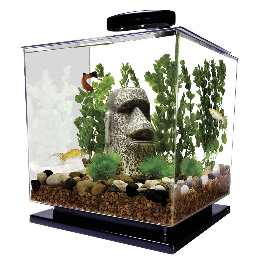 The 6 Best Fish Tanks for Beginners – Small Fish Tank Reviews