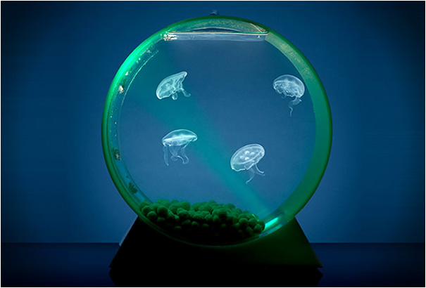 Desktop-Jellyfish-Tank