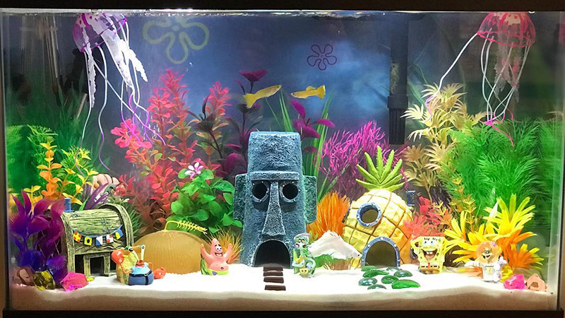 Cool Fish Tanks - 25 Exciting Aquarium That Will Blow Your Mind!