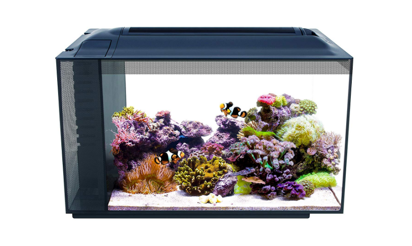 fluval_evo