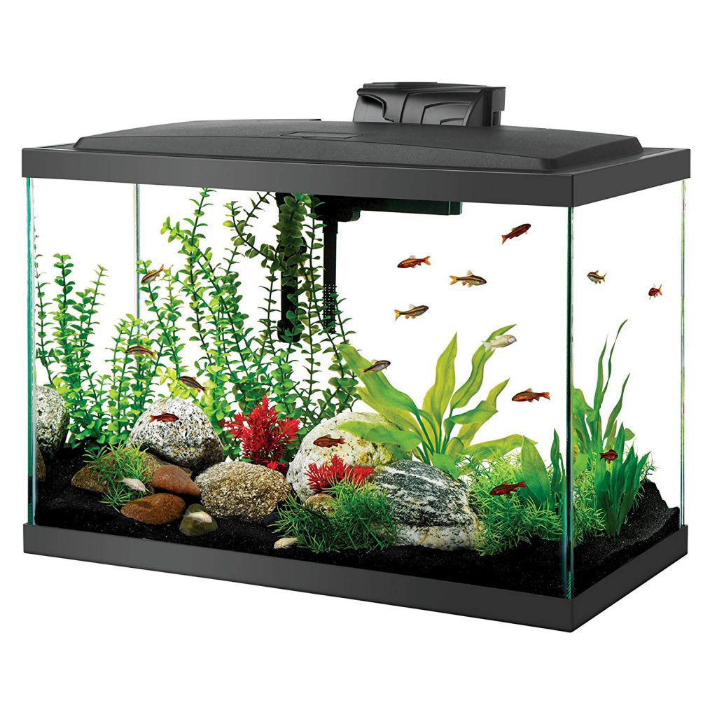 Best 20 Gallon Fish Tank and Aquarium Kits {Reveiws & Guide 2019}