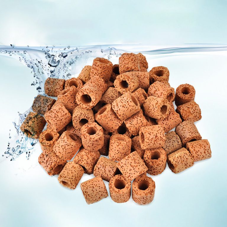 Best Aquarium Filter Media Guide Setup, Maintenance & Uses