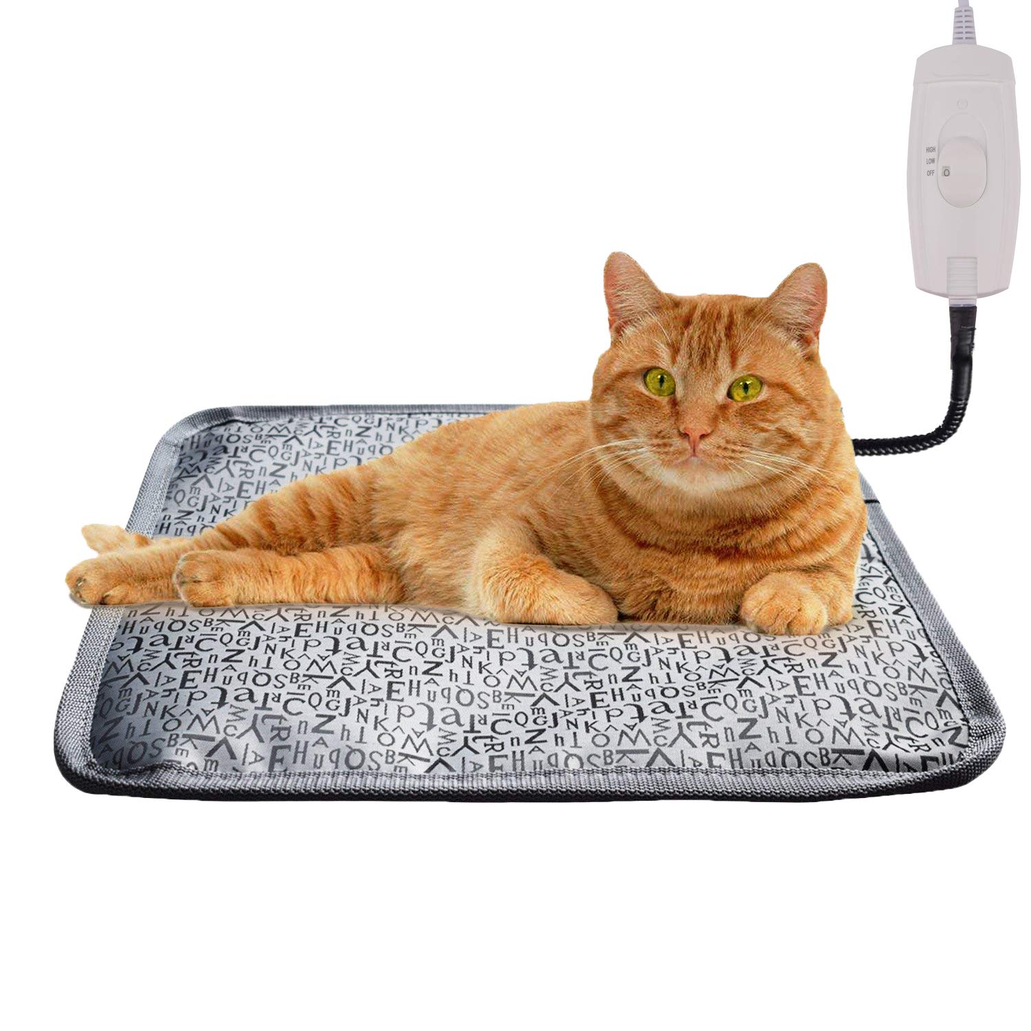 5 Top Best Grooming Product For Your Cat