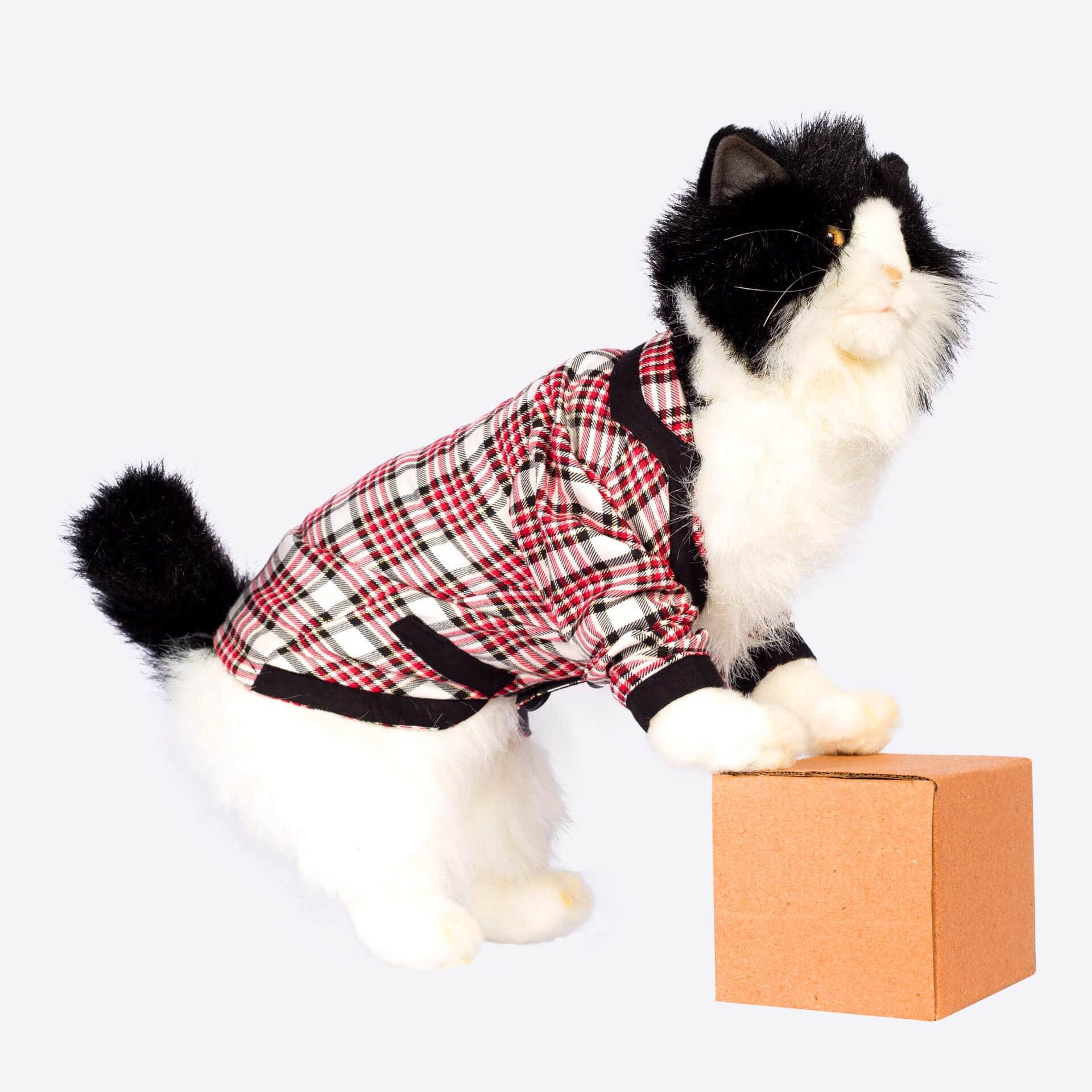 CatClothes