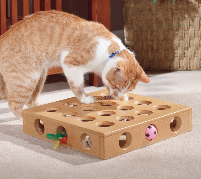 cat-toy-box
