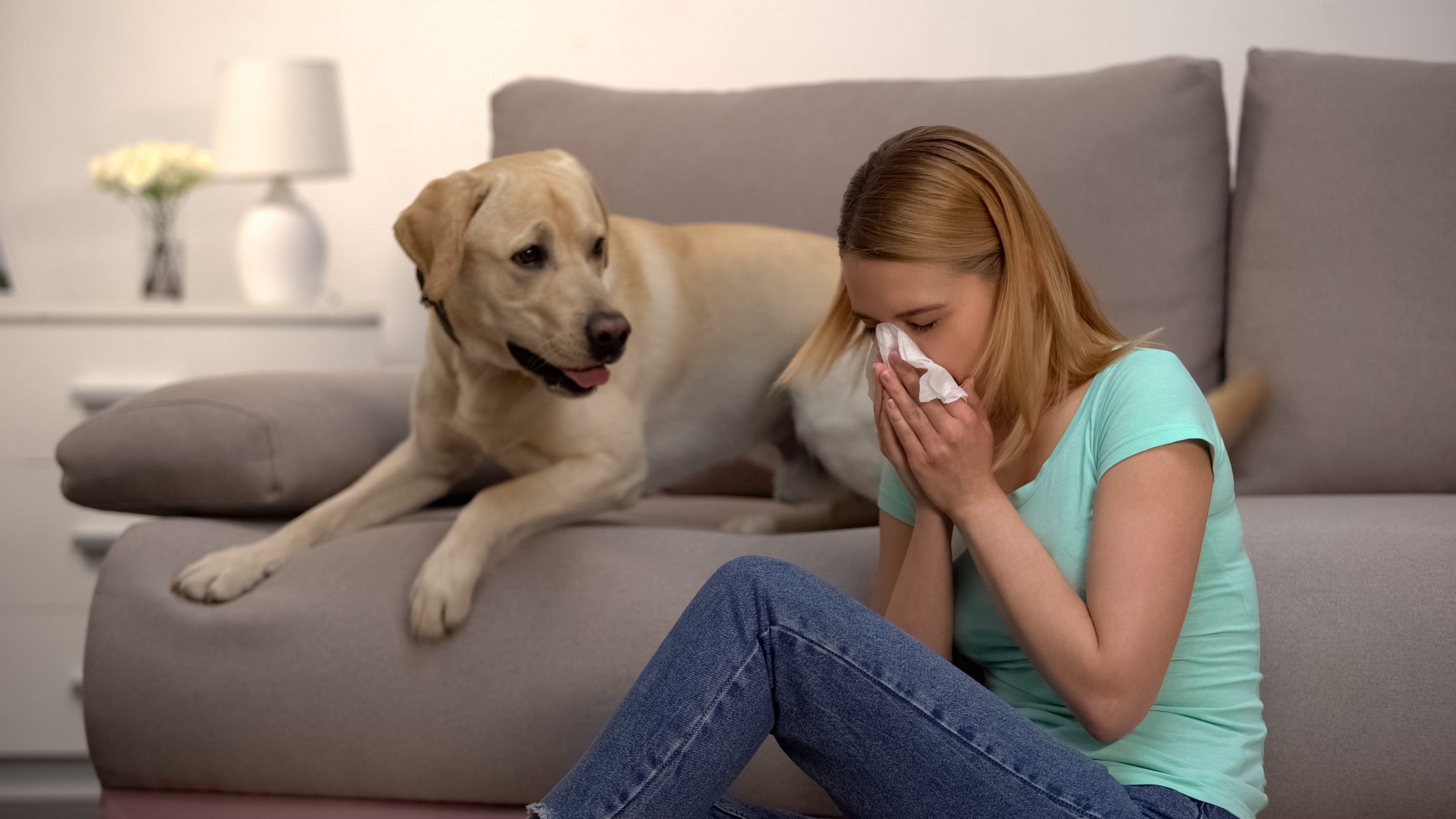 dog-allergies