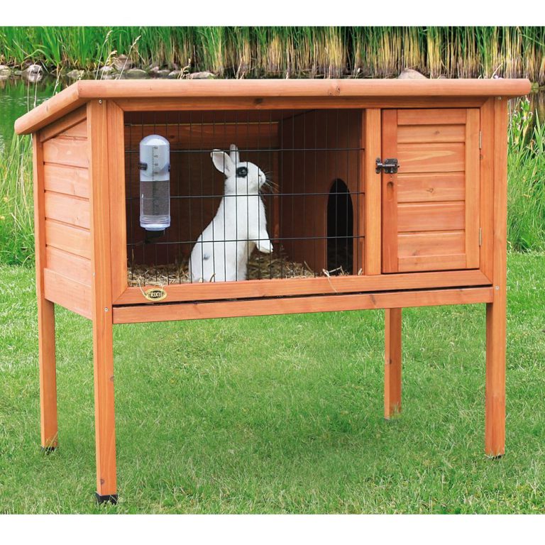 What Can I Put At The Bottom Of My Rabbit Hutch at Jeffrey Haight blog