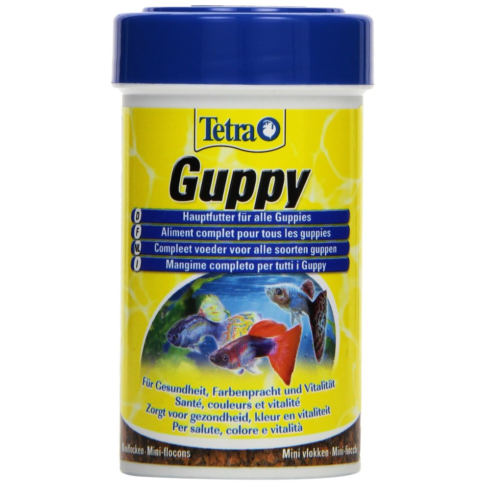  Guppy-Food