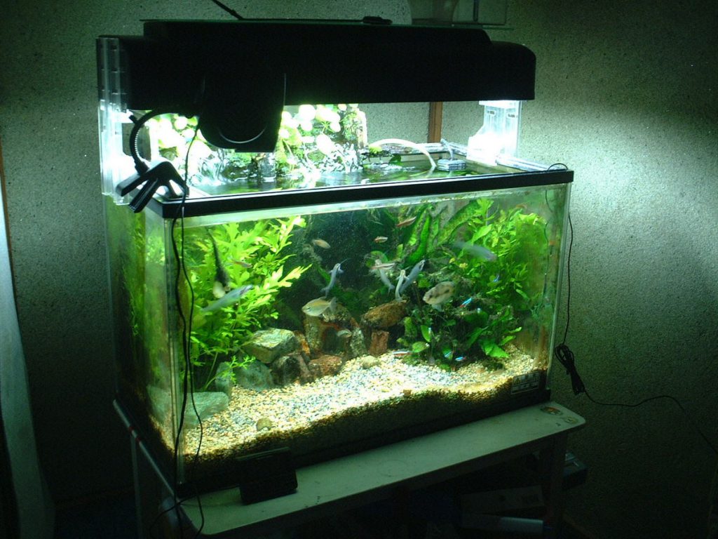 aquarium water filters