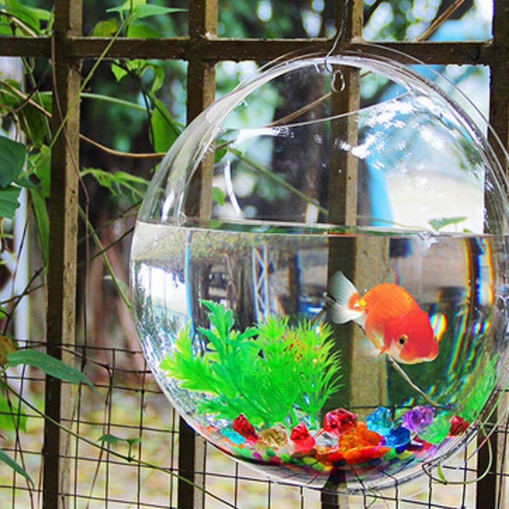 Best Information About Water Bowls Aquarium Important Role