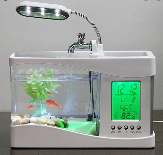 equipment-for-fish-tank