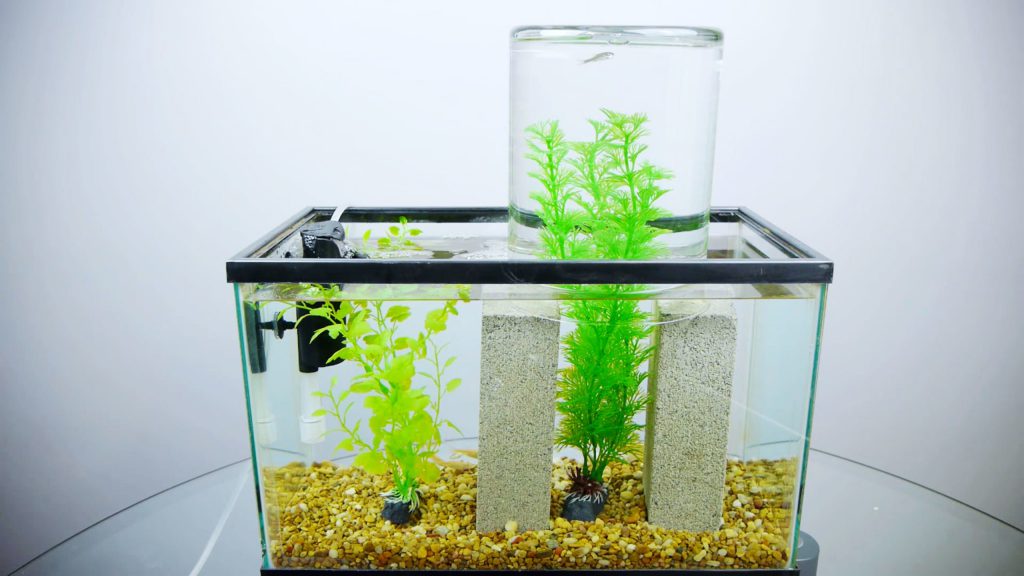 equipment-for-fish-tank