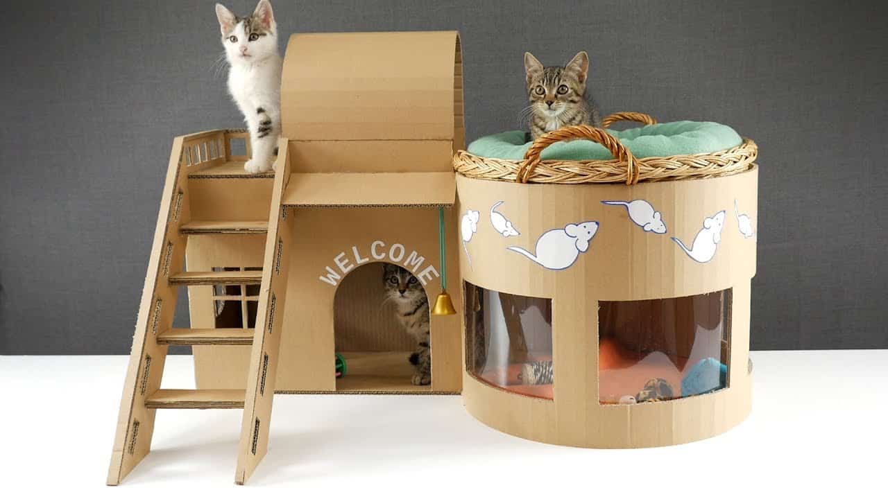cat-housing
