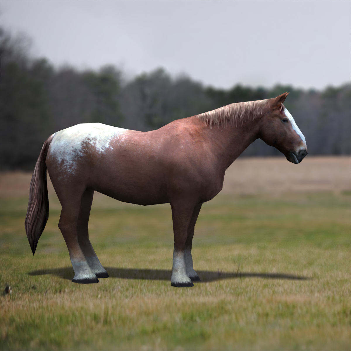 Brabant horse character