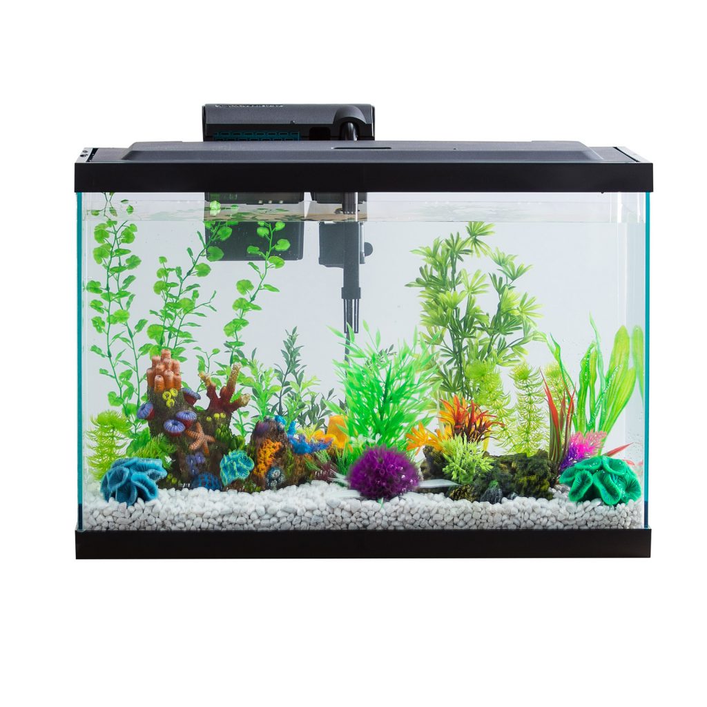 fish-tank-for-sale