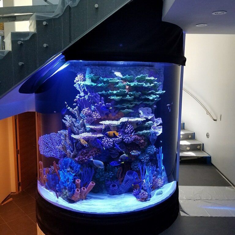 fish-tank-for-sale