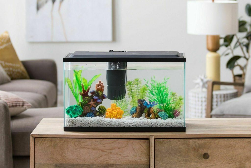 Best 10 Gallon Fish Tank/Aquariums (Reviews, Setup Ideas & Equipment)