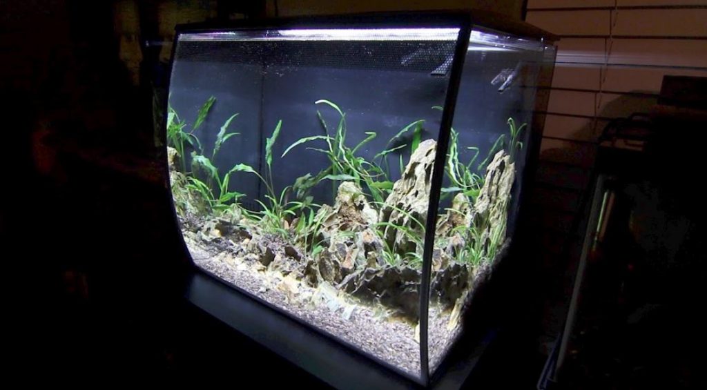 Best 15 Gallon Fish Tank Aquarium Reviews and Setup Ideas