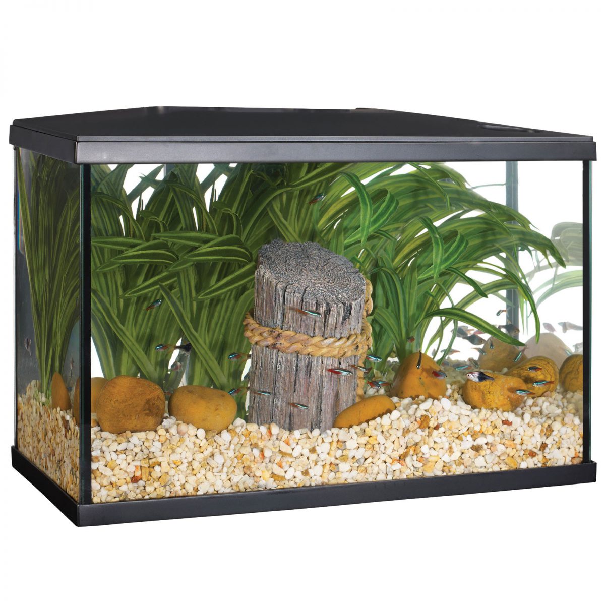 Marina LED Aquarium Kit Reviews: 5/10/20 Gallon Variants