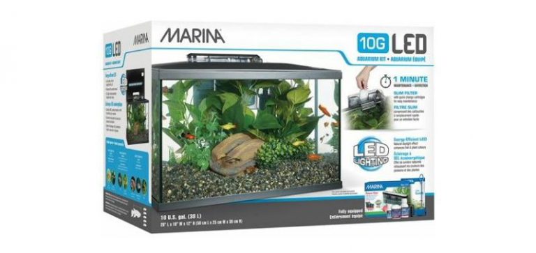 Marina LED Aquarium Kit Reviews: 5/10/20 Gallon Variants