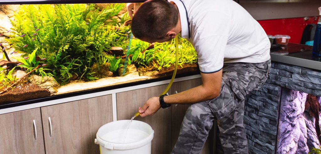 The best fish tank cleaning kits