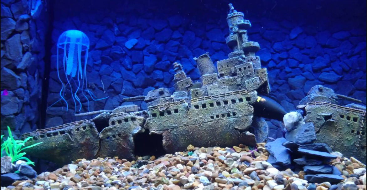 Best Aquarium Decorations: Unique Ornaments for Fish Tanks