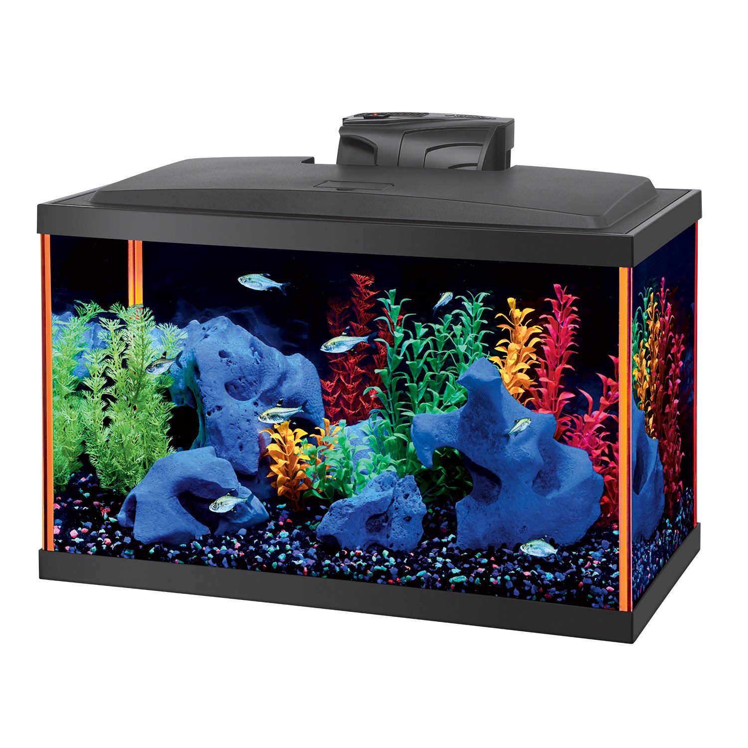 10g glofish tank. Nothing special. Just something simple to get my 2 year  old excited about the effects. : r/Aquariums