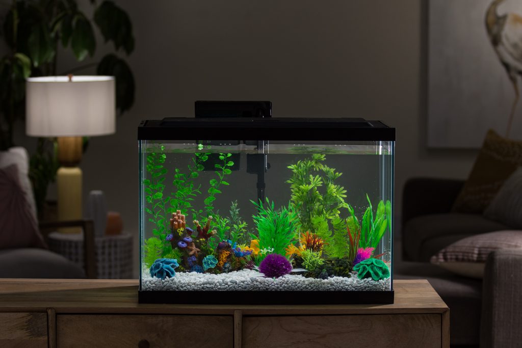 Mediate Anemone fisk forfølgelse Marina LED Aquarium Kit Reviews: 5/10/20 Gallon Variants