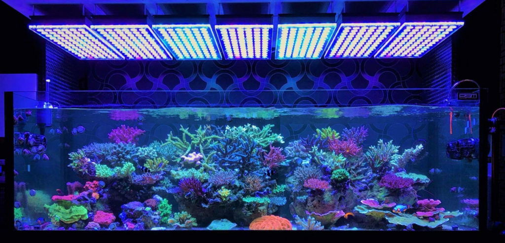 The 7 Best LED Aquarium Lighting - Fish Tank Lights Guide 2019