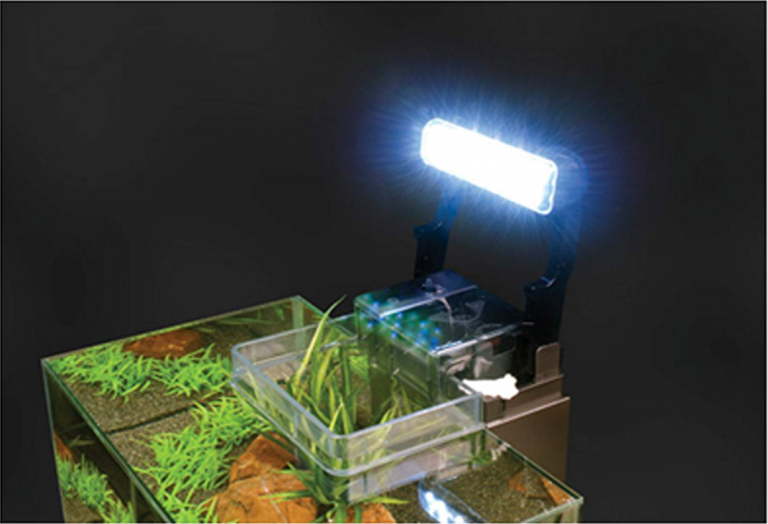 Fluval Edge 6 Gallon Aquarium Reviews On Fluval Fish Tanks 2019