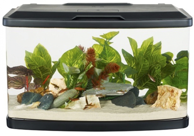 Best 15 Gallon Fish Tank: Aquarium Reviews and Setup Ideas