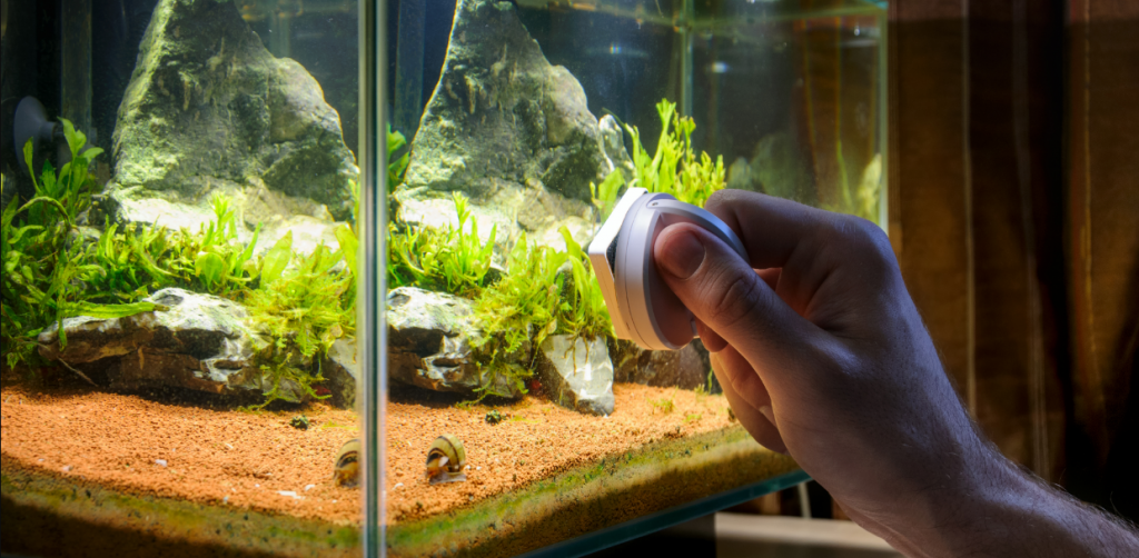 The best fish tank cleaning kits