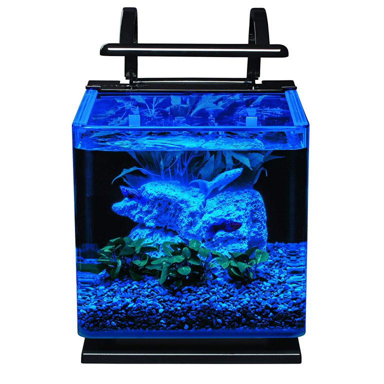 Best 3 Gallon Fish Tank For Betta Betta-fish-tetra-cube-aquarium-kit-3-gallon