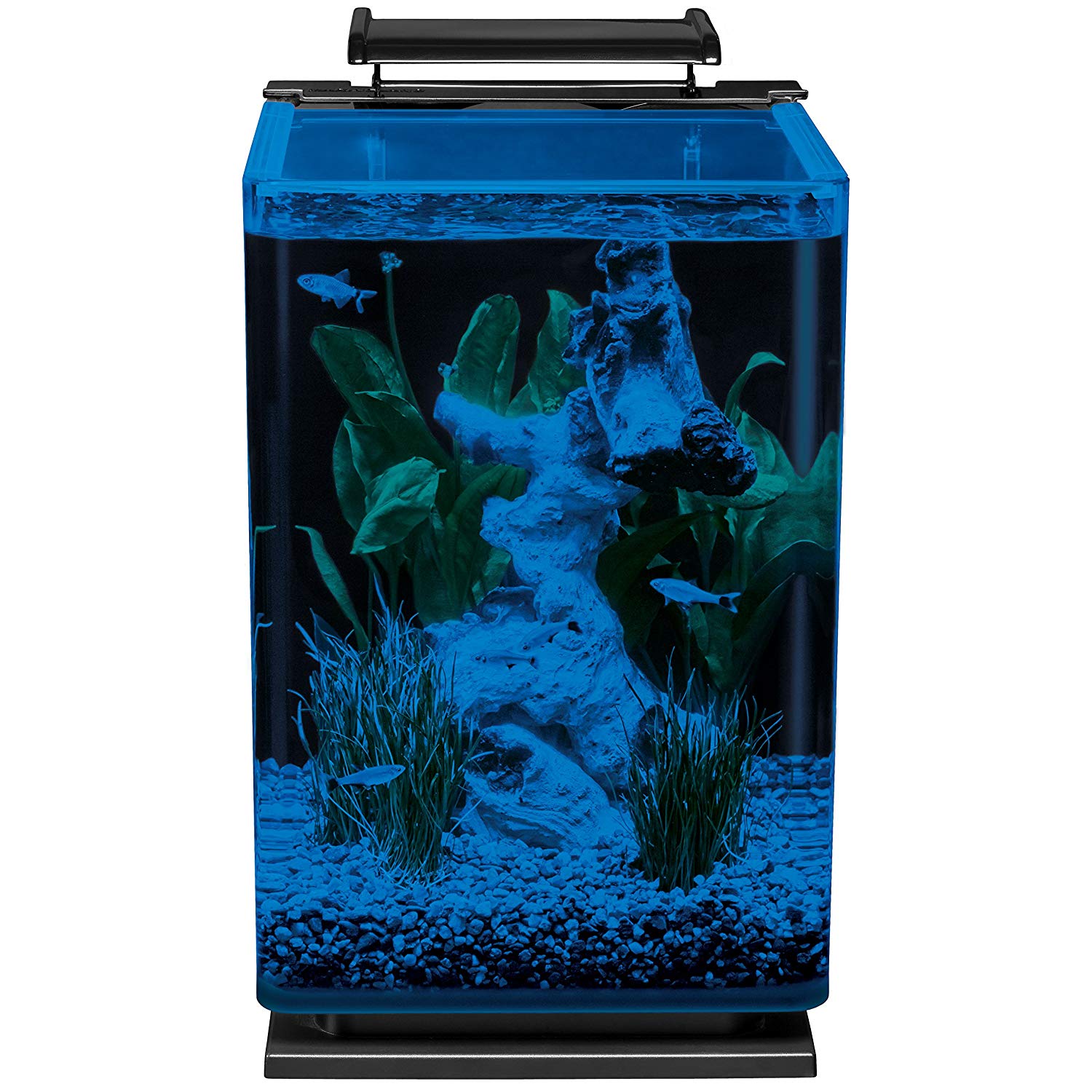 The 6 Best Fish Tanks for Beginners – Small Fish Tank Reviews